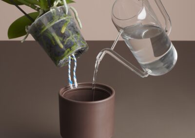 Wat is de juiste standplaats voor mijn orchidee?